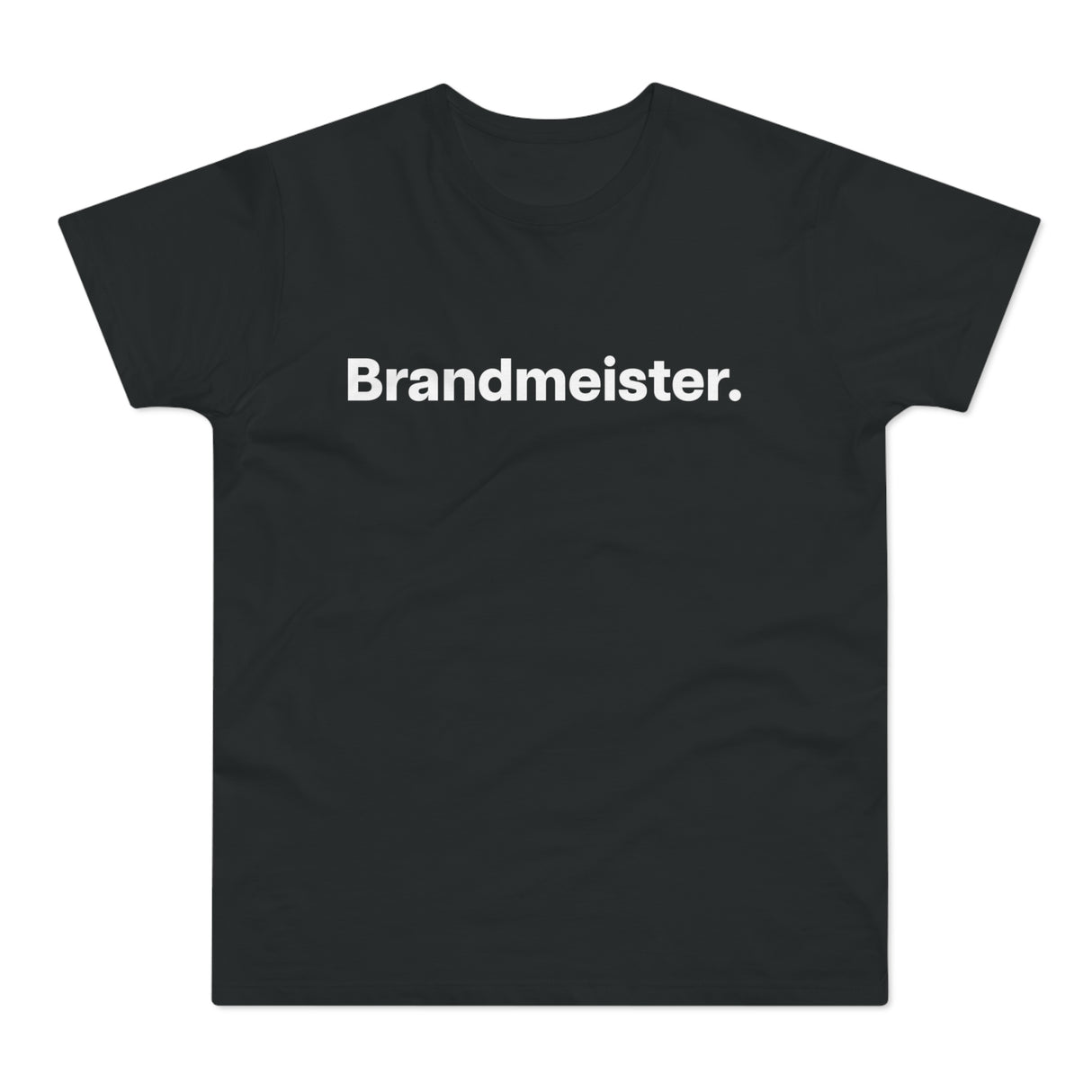 Brandmeister. E190